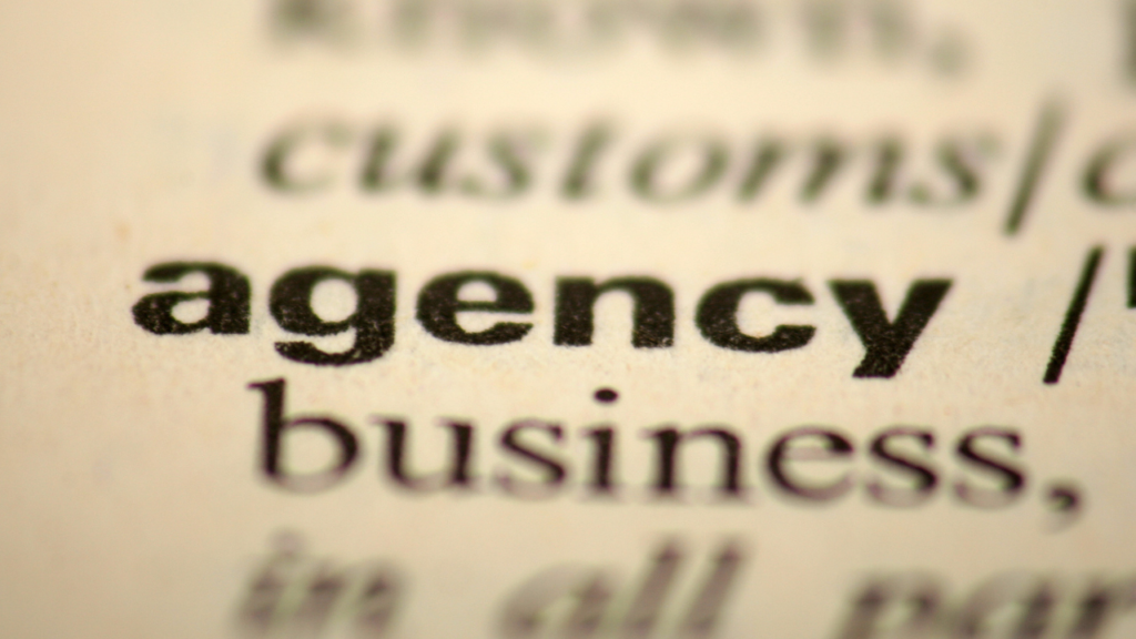 The Experts at Blackdog Agency CSE Stories Crafting Tailor Made  The Experts at Blackdog Agency CSE Stories Crafting Tailor Made