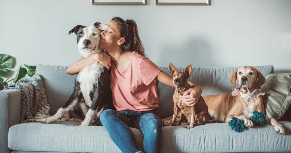 Pet-Friendly Movie Picks on MovieOrca for a Cozy Weekend